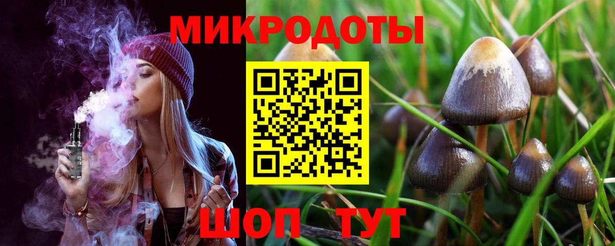 Галлюциногенные грибы Psilocybine cubensis  Псилоцибиновые грибы ЛСД  Вольск  Вход с VPN 